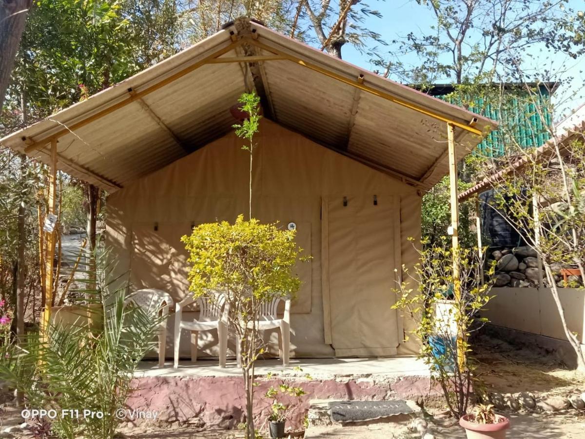 فندق Camp High 5 Jayalgarh Dāngchura المظهر الخارجي الصورة