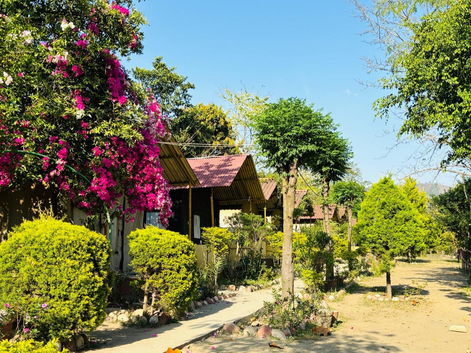 فندق Camp High 5 Jayalgarh Dāngchura المظهر الخارجي الصورة