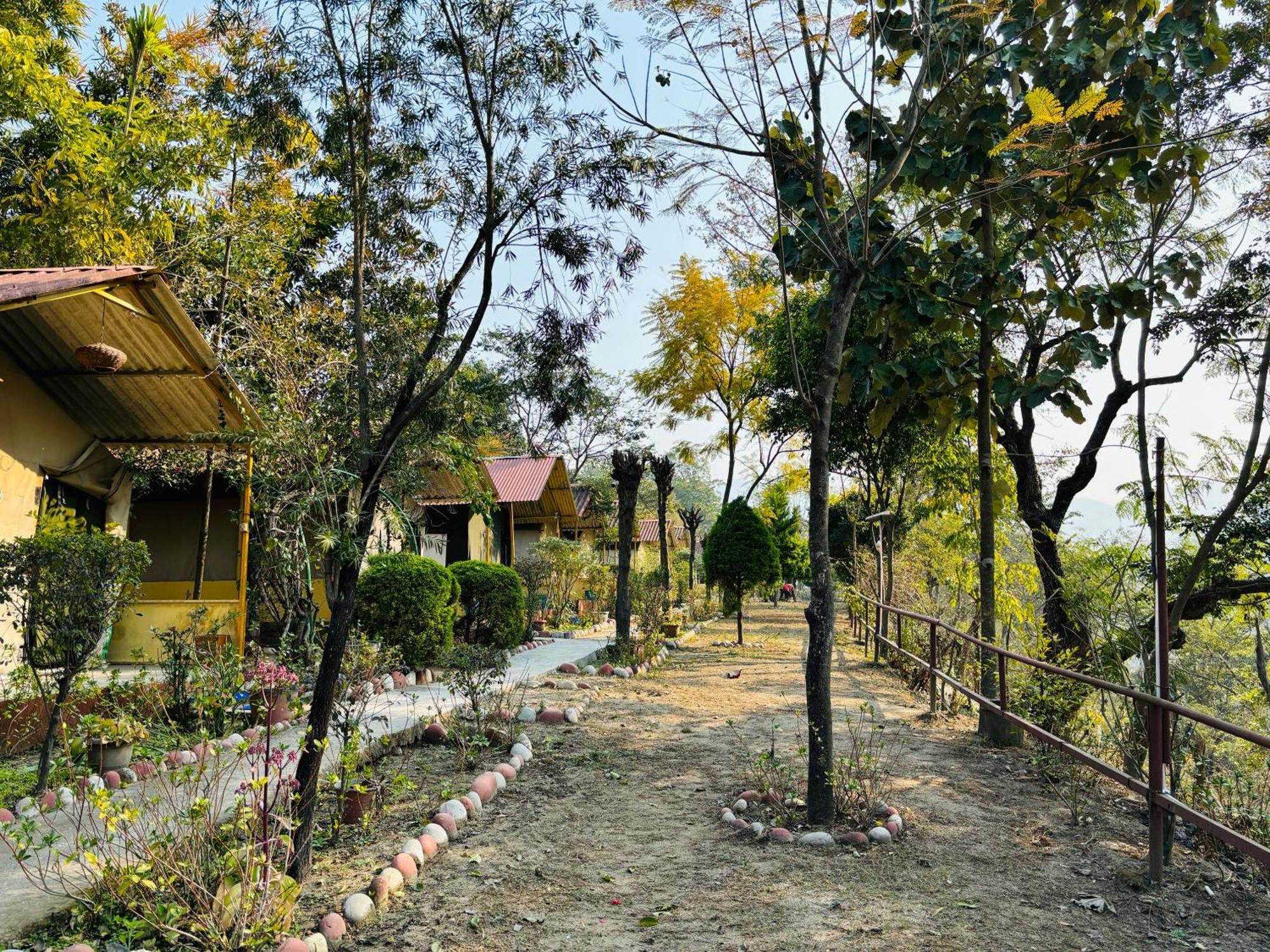 فندق Camp High 5 Jayalgarh Dāngchura المظهر الخارجي الصورة